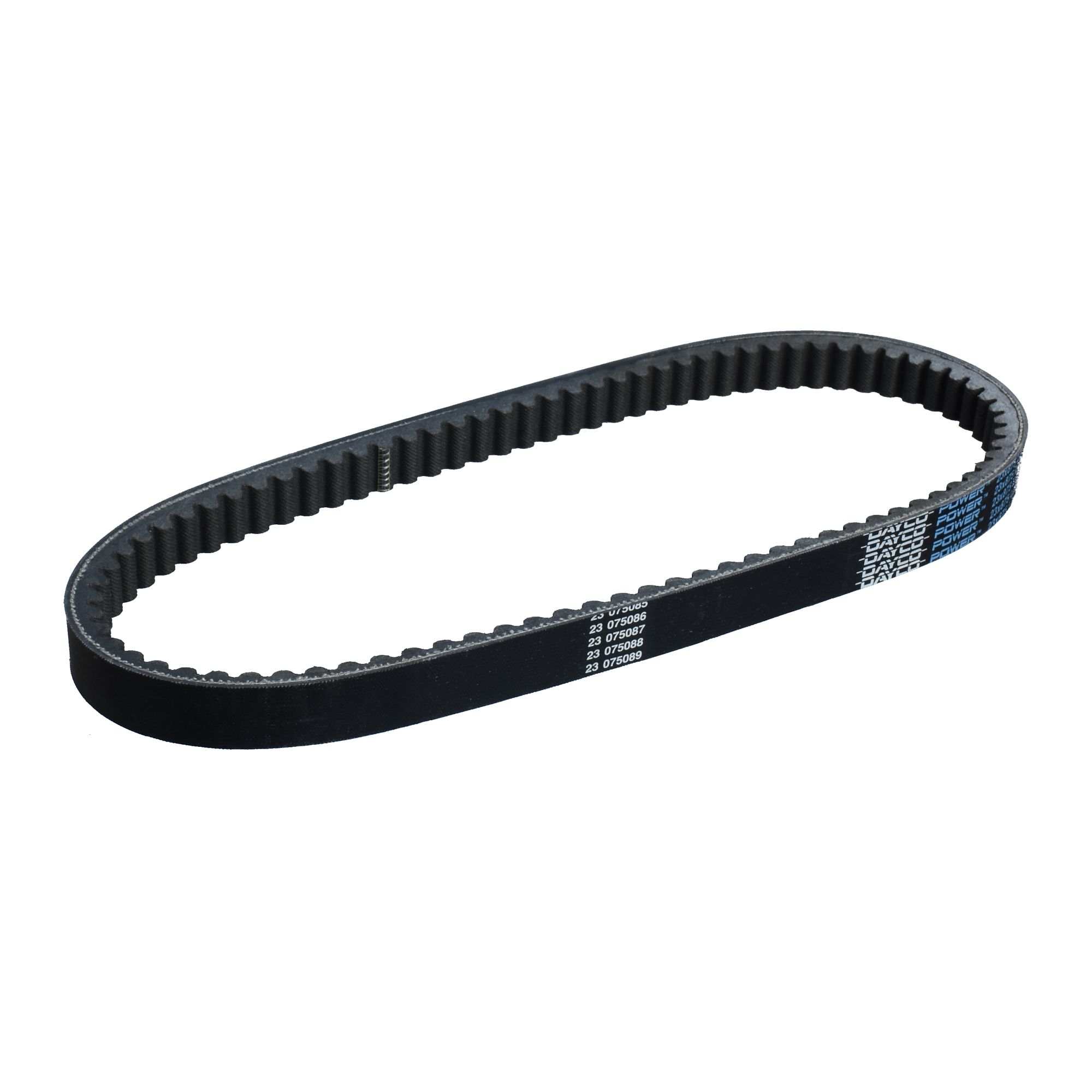 Dayco Keilriemen Antriebsriemen 8113K verstärkt