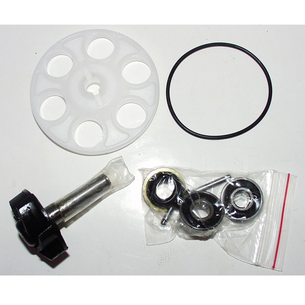 Buzzetti Wasserpumpenreparatursatz