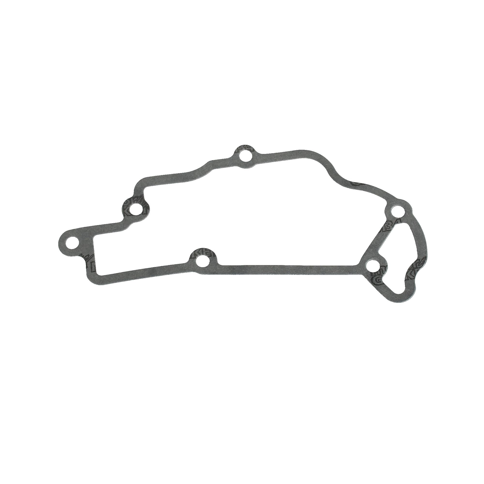 Piaggio Ölwannendichtung