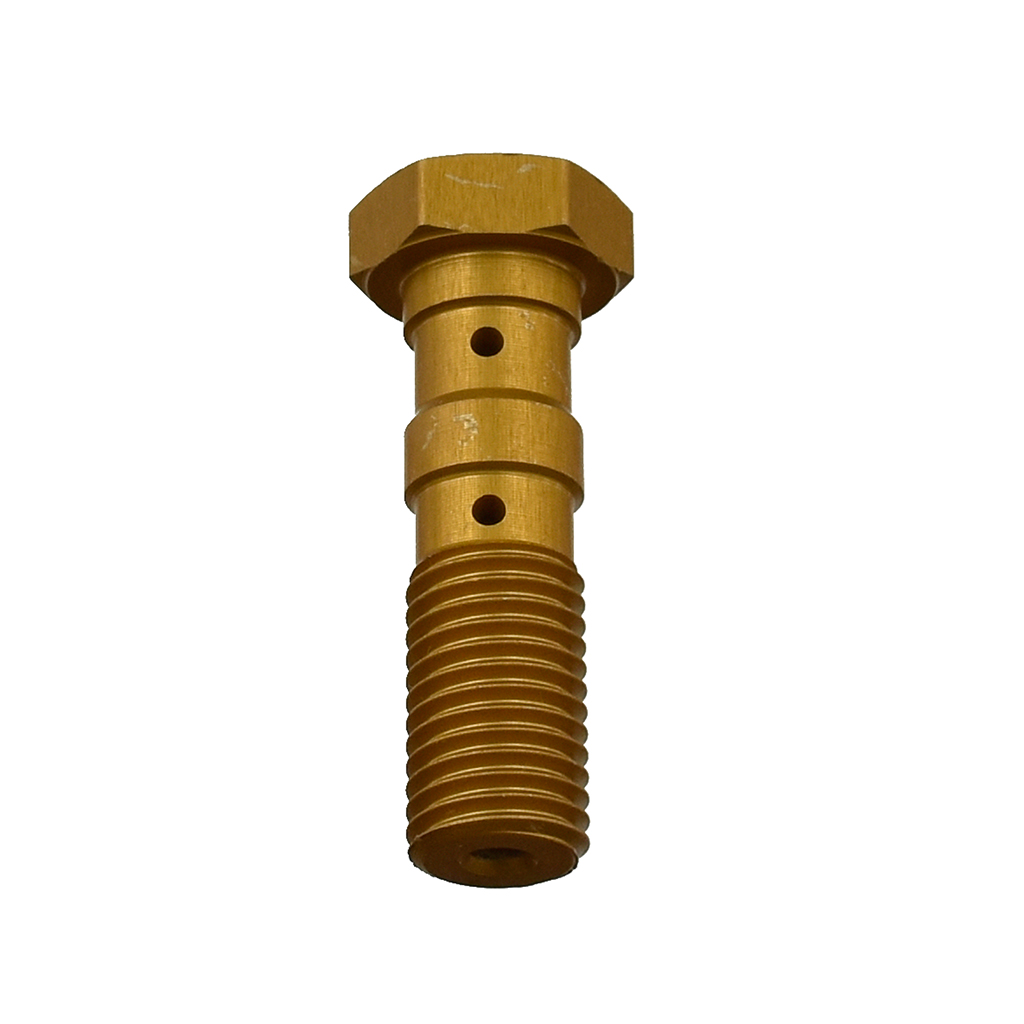 TRW Hohlschraube gold M10x1,25 Doppelhohlschraube