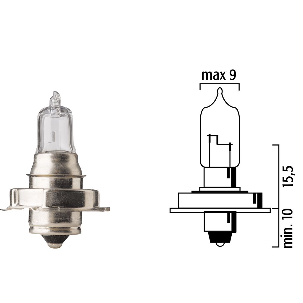 ScooterLibre Lampe MotoLibre 12V 15W P26s klar Halogen Sockelbirne