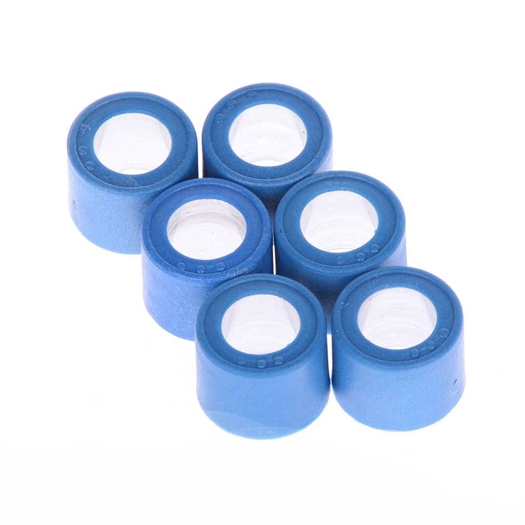 LeoVince Rollenkit 20x12 14.7gr 6 Rollen